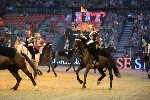 Cavalry - 00122